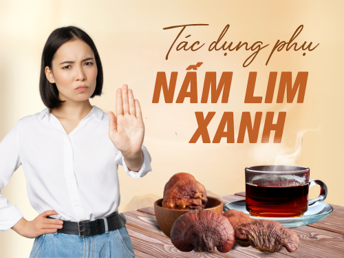 Tác dụng phụ của nấm Lim Xanh: Những điều bạn không nên bỏ qua khi sử dụng